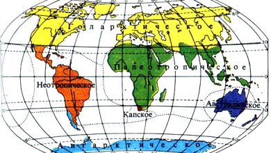 Photo of Уникальные флористические районы