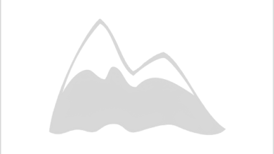 Photo of Долины и ущелья Алтайских гор