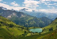 Photo of Прекрасные леса Алтая