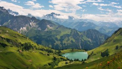 Photo of Прекрасные леса Алтая