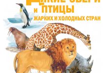 Photo of Дикие звери и птицы