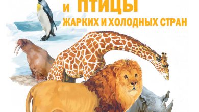 Photo of Дикие звери и птицы