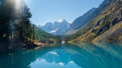 Photo of Удивительная природа Алтая