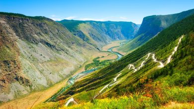 Photo of Таежные заповедники Алтая