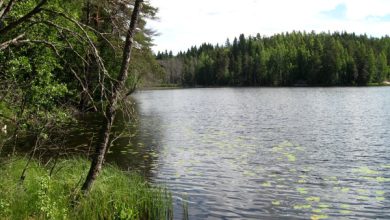 Photo of Загадочные озера и реки