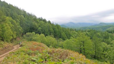 Photo of Долина Чертова моста: живописные пейзажи