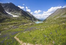 Photo of Защищенные территории Алтая