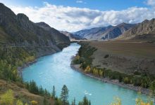 Photo of Кристально чистые ручьи Алтая