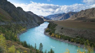 Photo of Кристально чистые ручьи Алтая