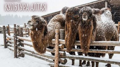 Photo of Праздники и обряды алтайцев