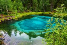 Photo of Чудеса природы на Алтае