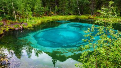 Photo of Чудеса природы на Алтае