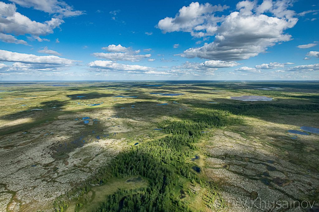 Фото 9 — Таежные заповедные уголки