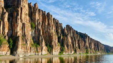 Photo of Заповедники и национальные парки