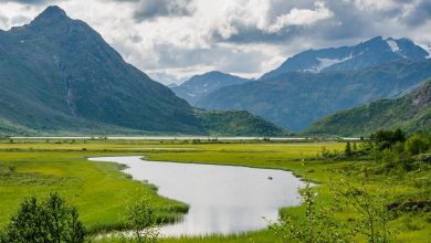 Photo of Девственные ландшафты Алтая