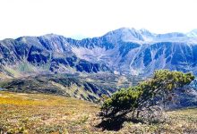 Photo of Уникальные экосистемы гор