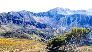 Photo of Уникальные экосистемы гор