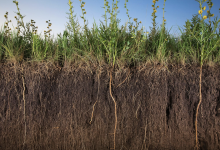 Photo of Загадочные могильники древних цивилизаций