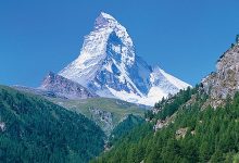 Photo of Дикая природа горных вершин